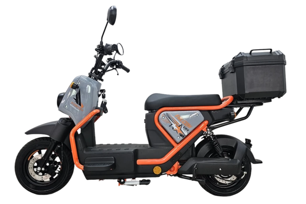 goose-falcon-lit-orange