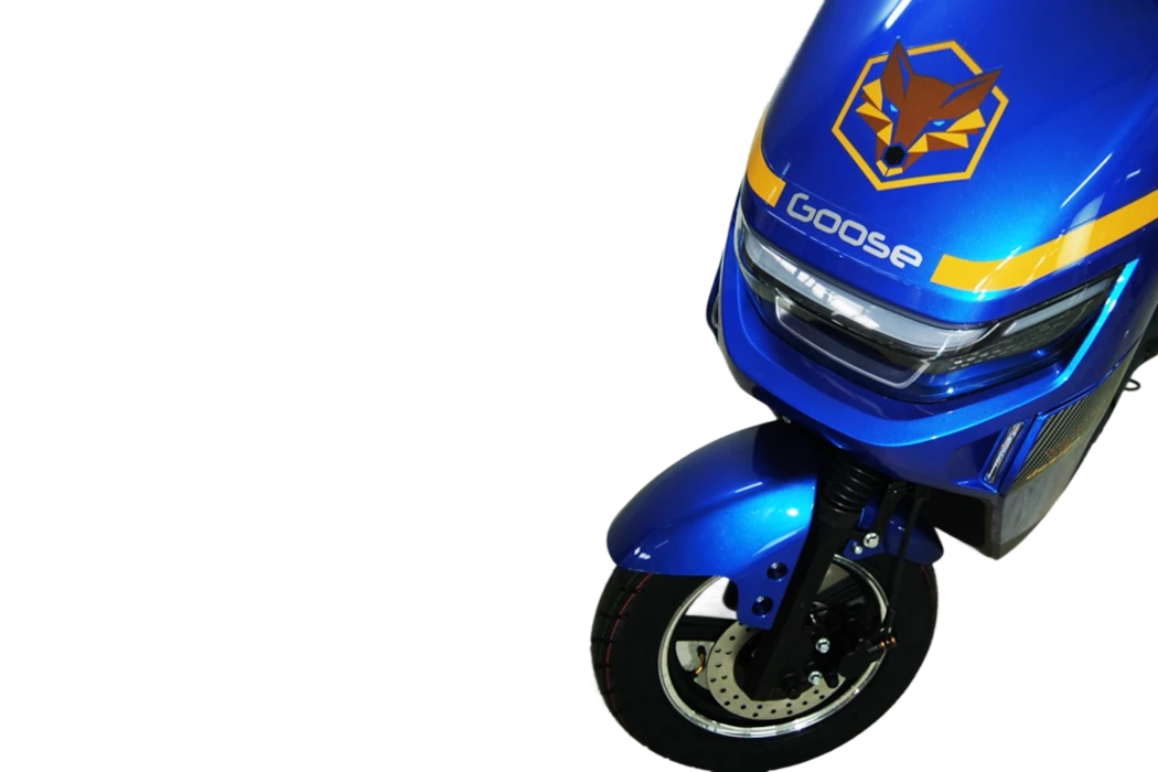 goose-fox-sla-blue