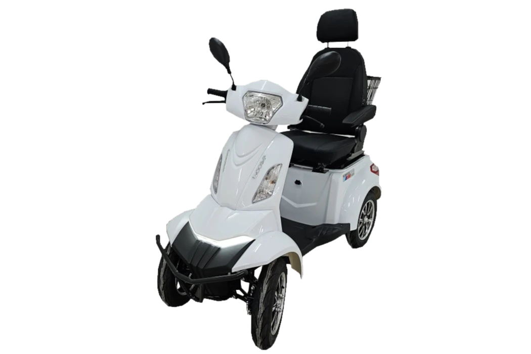 goose-mobilidade-x-1